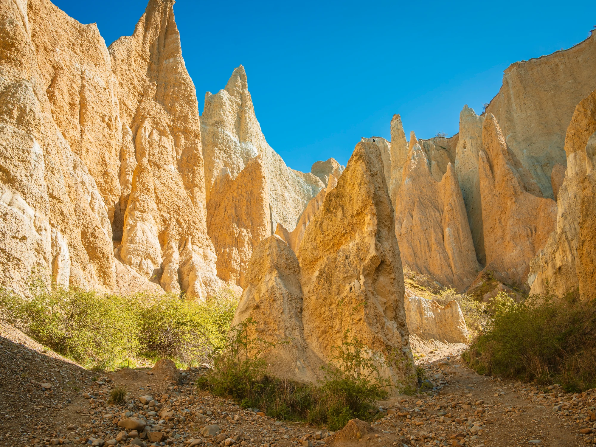 Clay Cliffs canyon and pinnacles