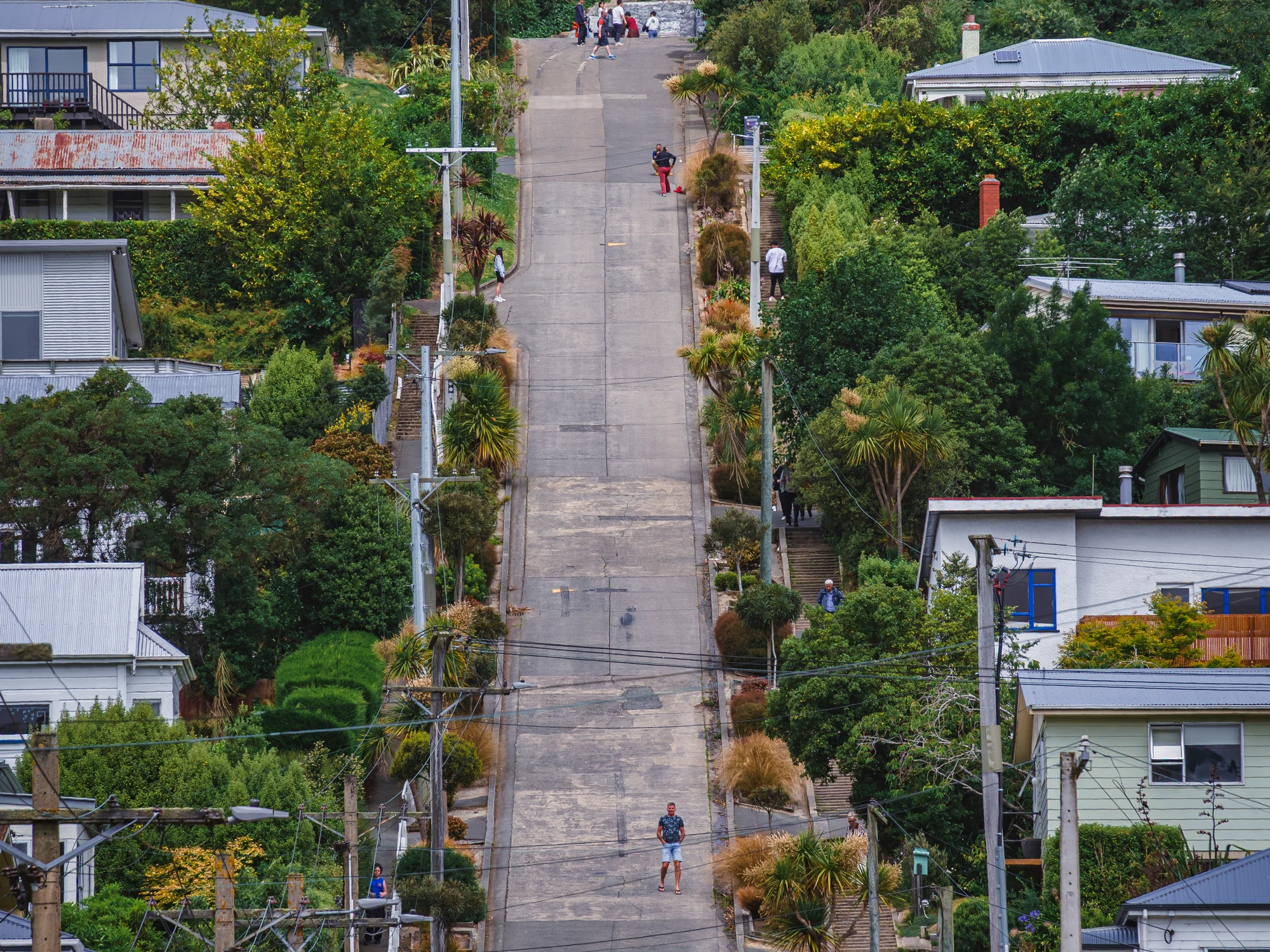 A steep hillside street in Dunedin.