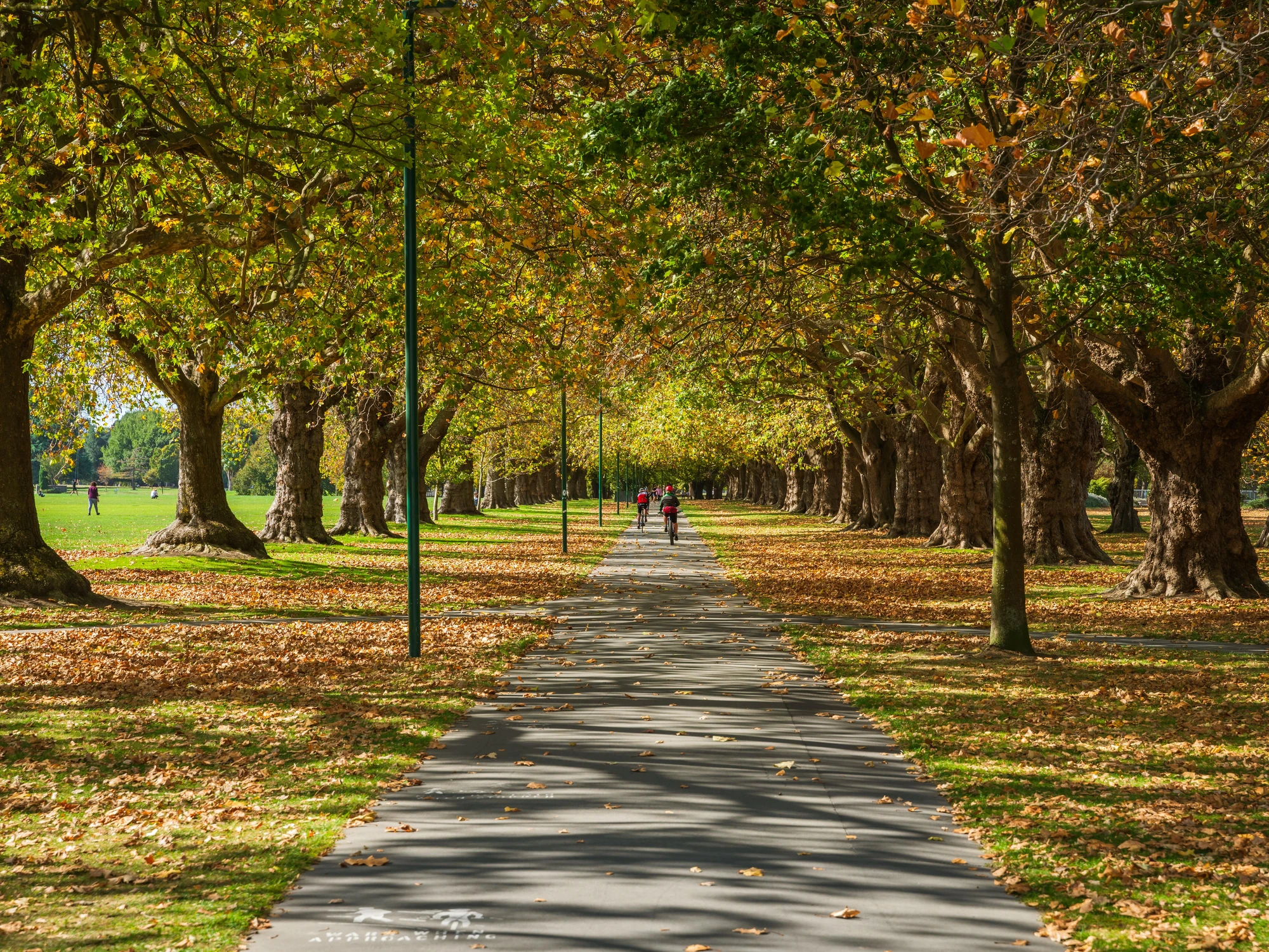 First impressions of a Christchurch park