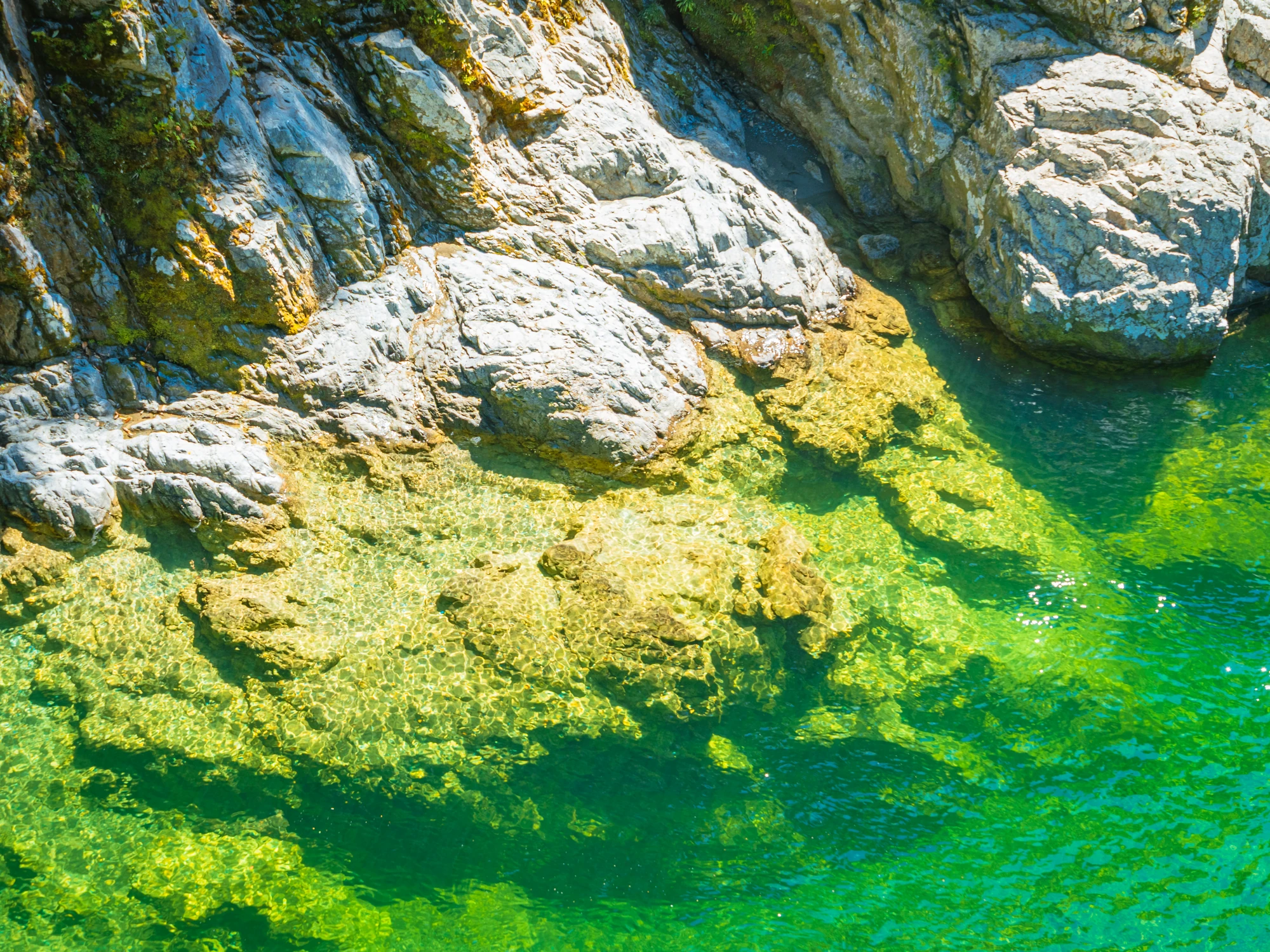 River pools near Pelorus Bridge