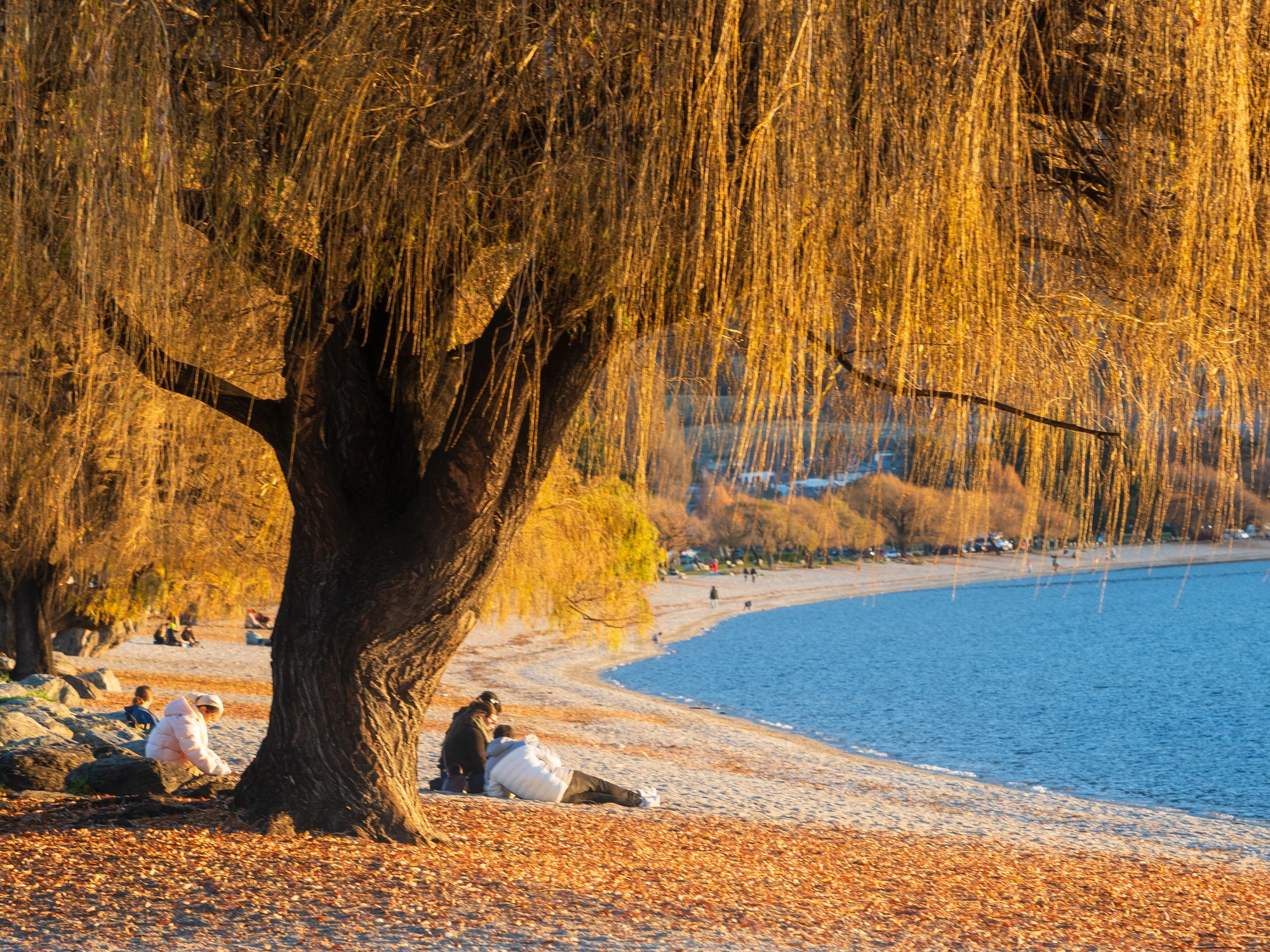 Lake Wānaka shoreline