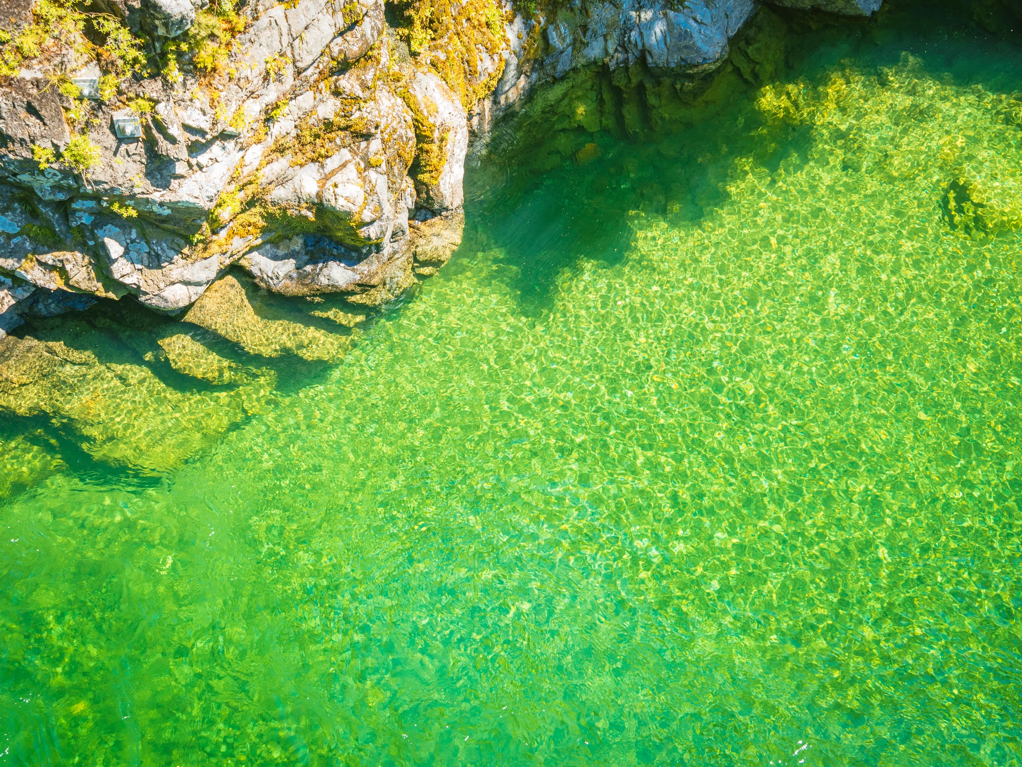 Emerald shallows on the northern South Island coast