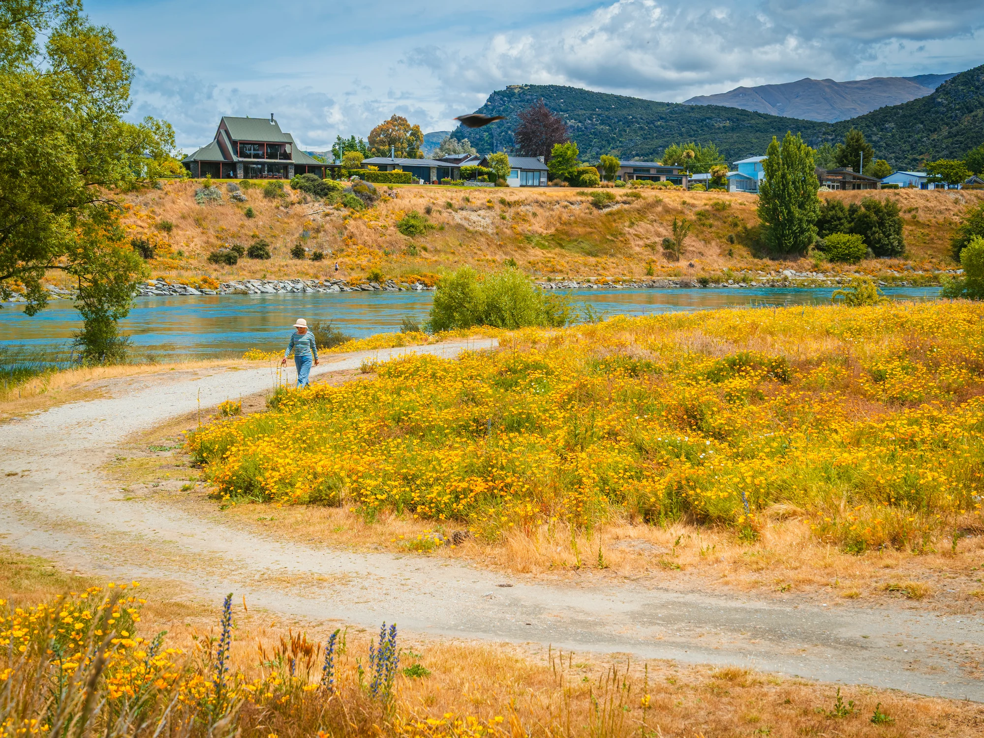 Autumn colour beside water in the Wānaka area
