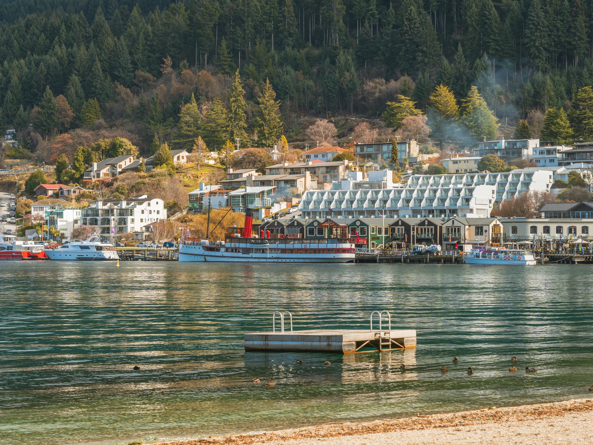 Queenstown Bay waterfront and floating dock
