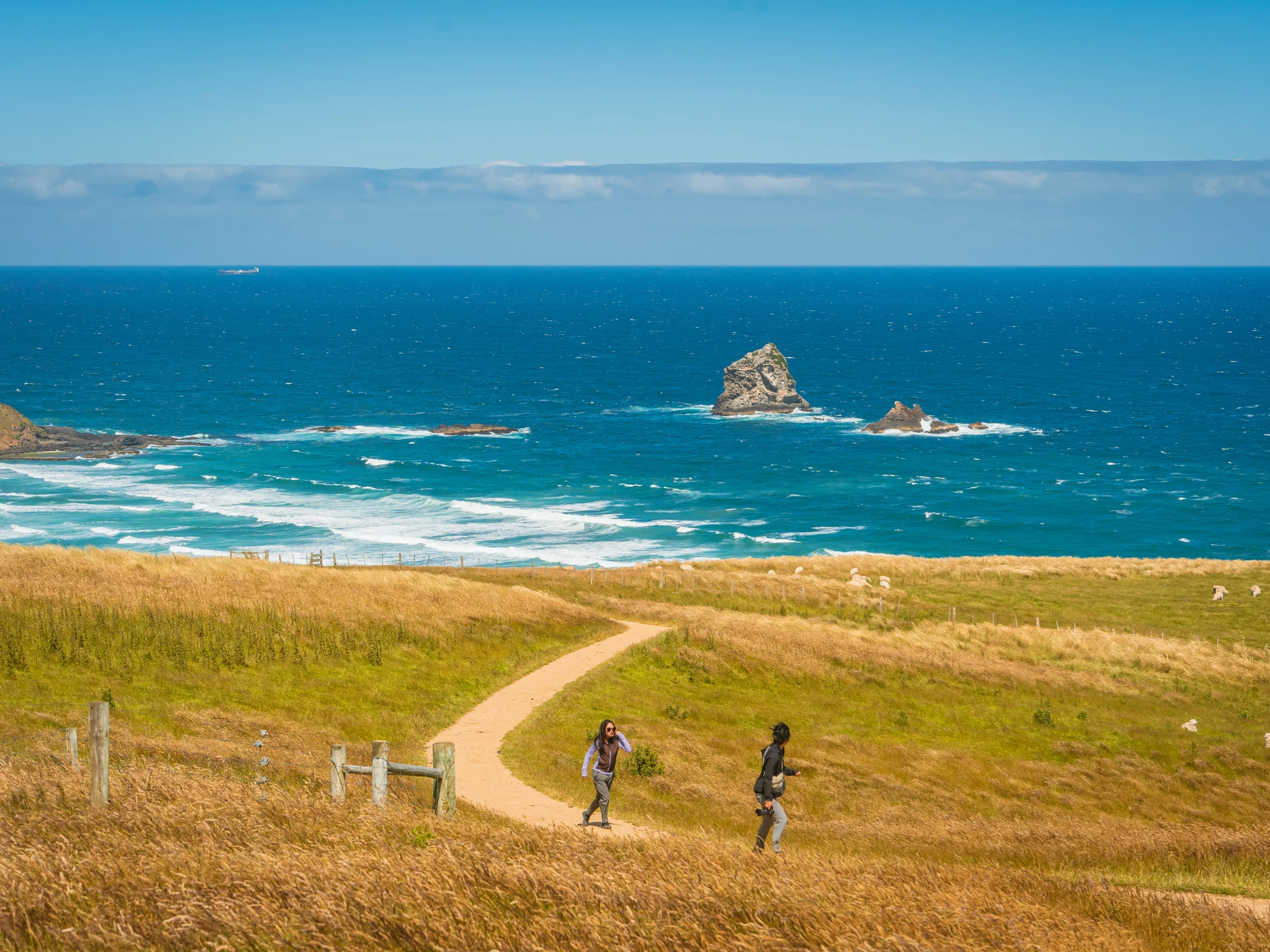 Sandfly Bay 的海岸步道与海蚀岩