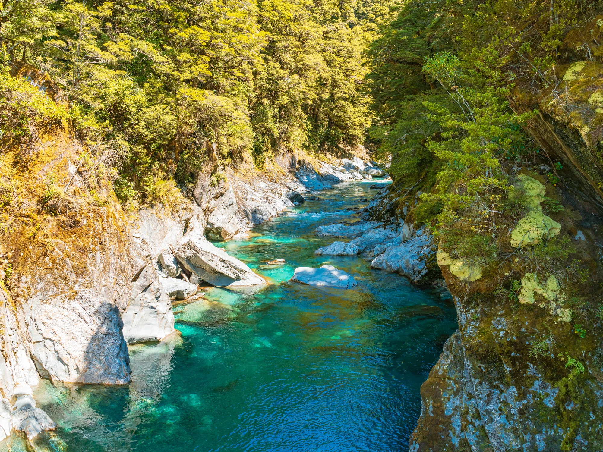 Forest gorge at the Blue Pools