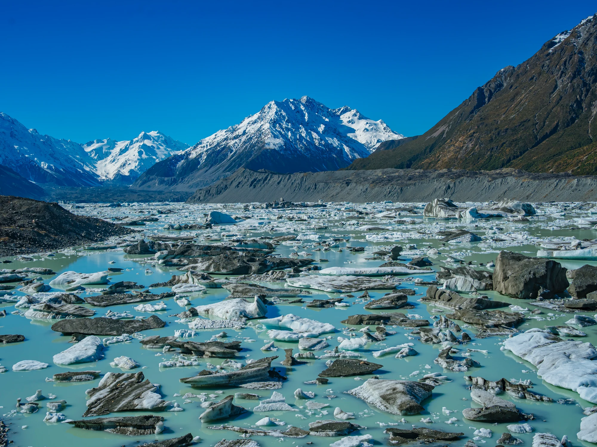 Icebergs on Tasman Glacier terminal lake