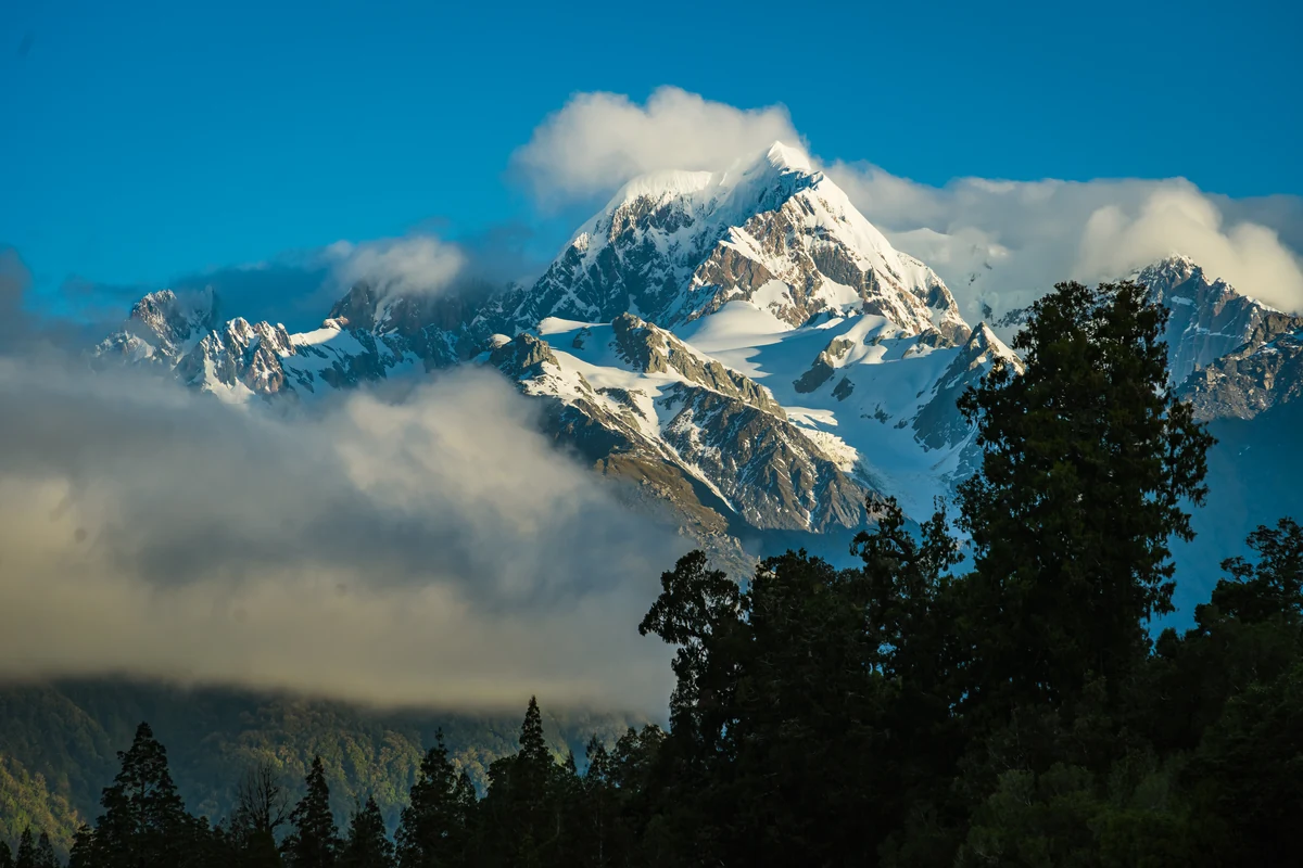 Across the Southern Alps & Around the West Coast · 8 Days