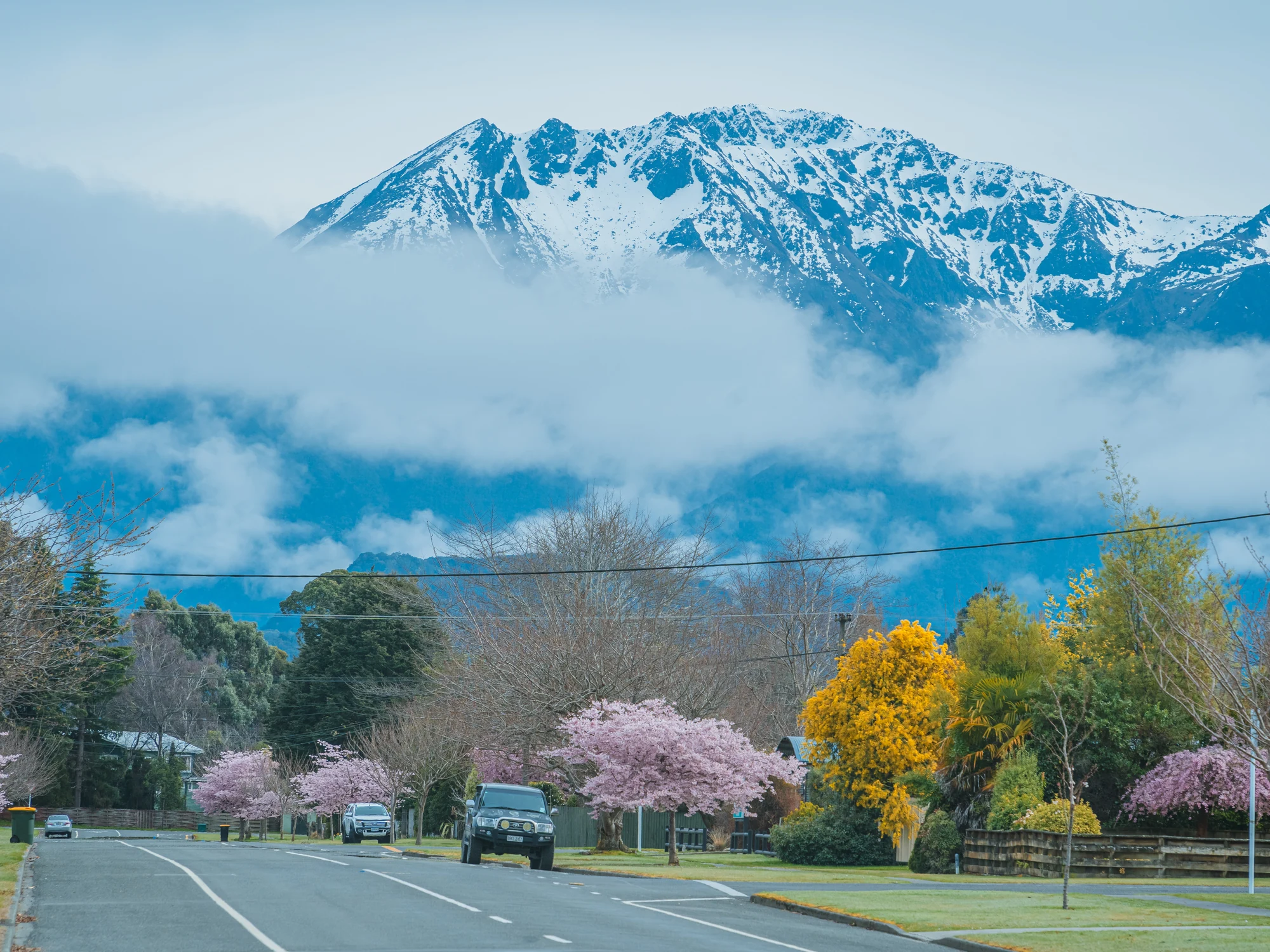 Cherry blossoms and snowy peaks near Te Anau