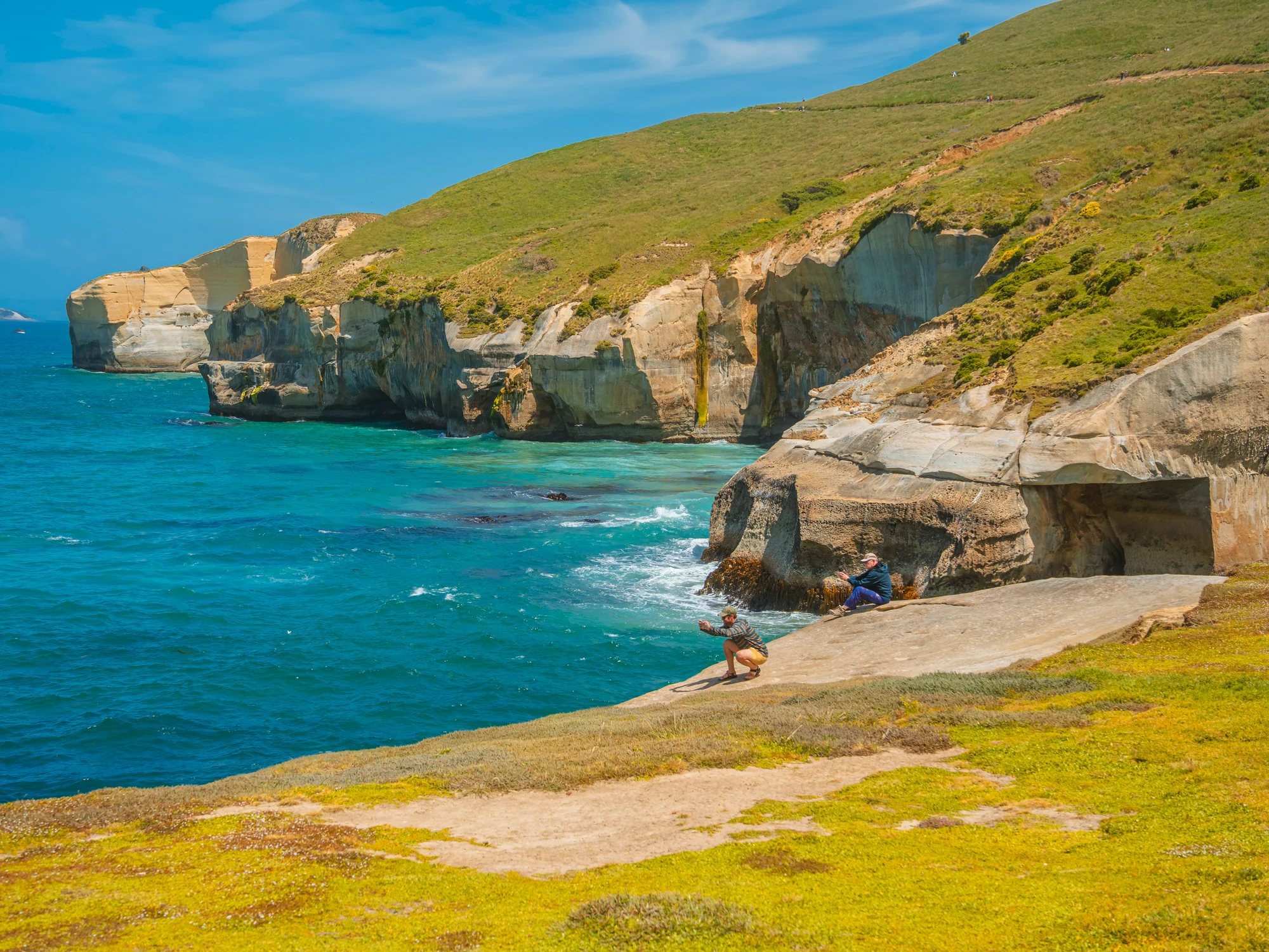 Coastal scenery around Dunedin