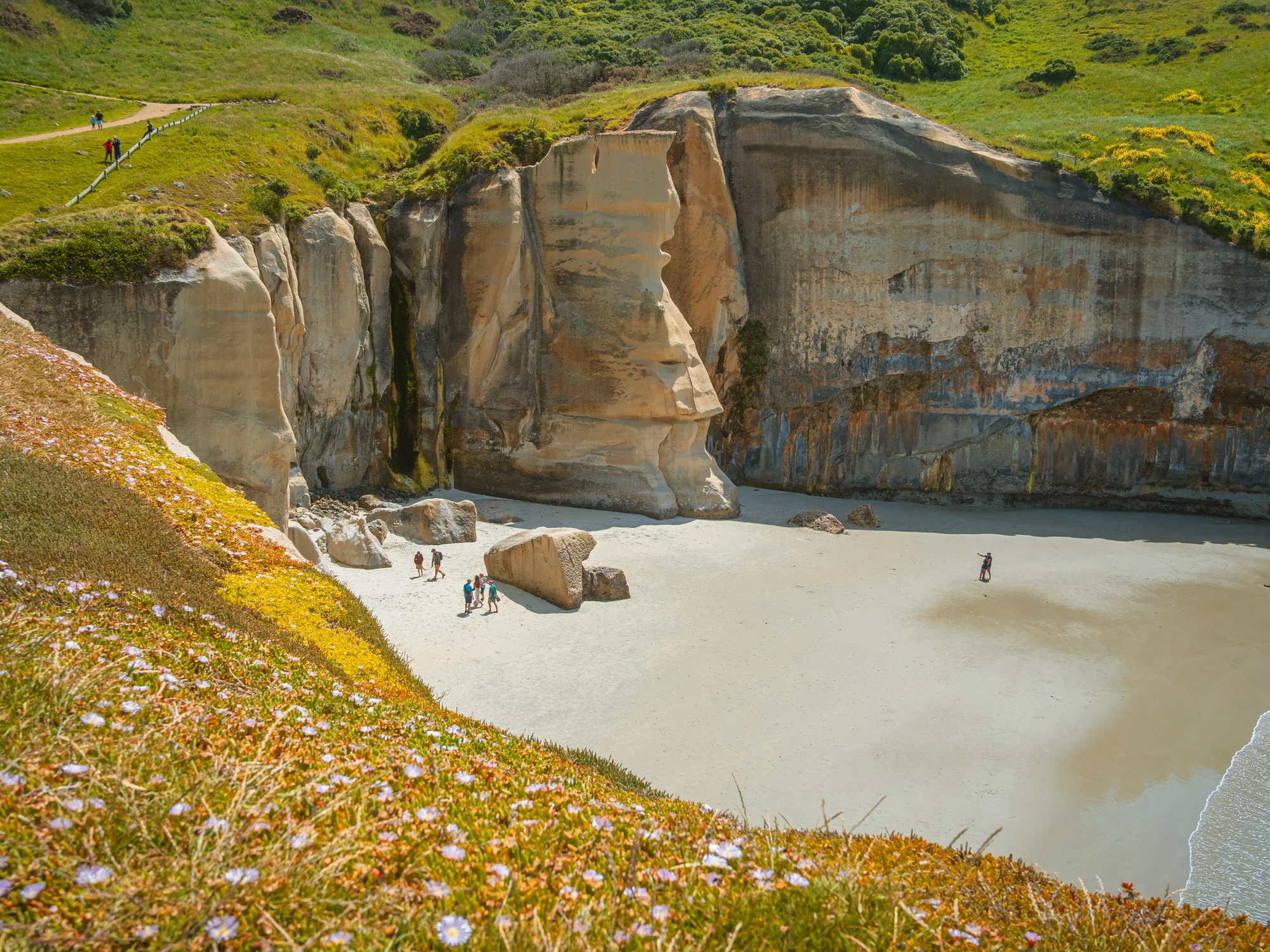 A bay and coastline around Dunedin