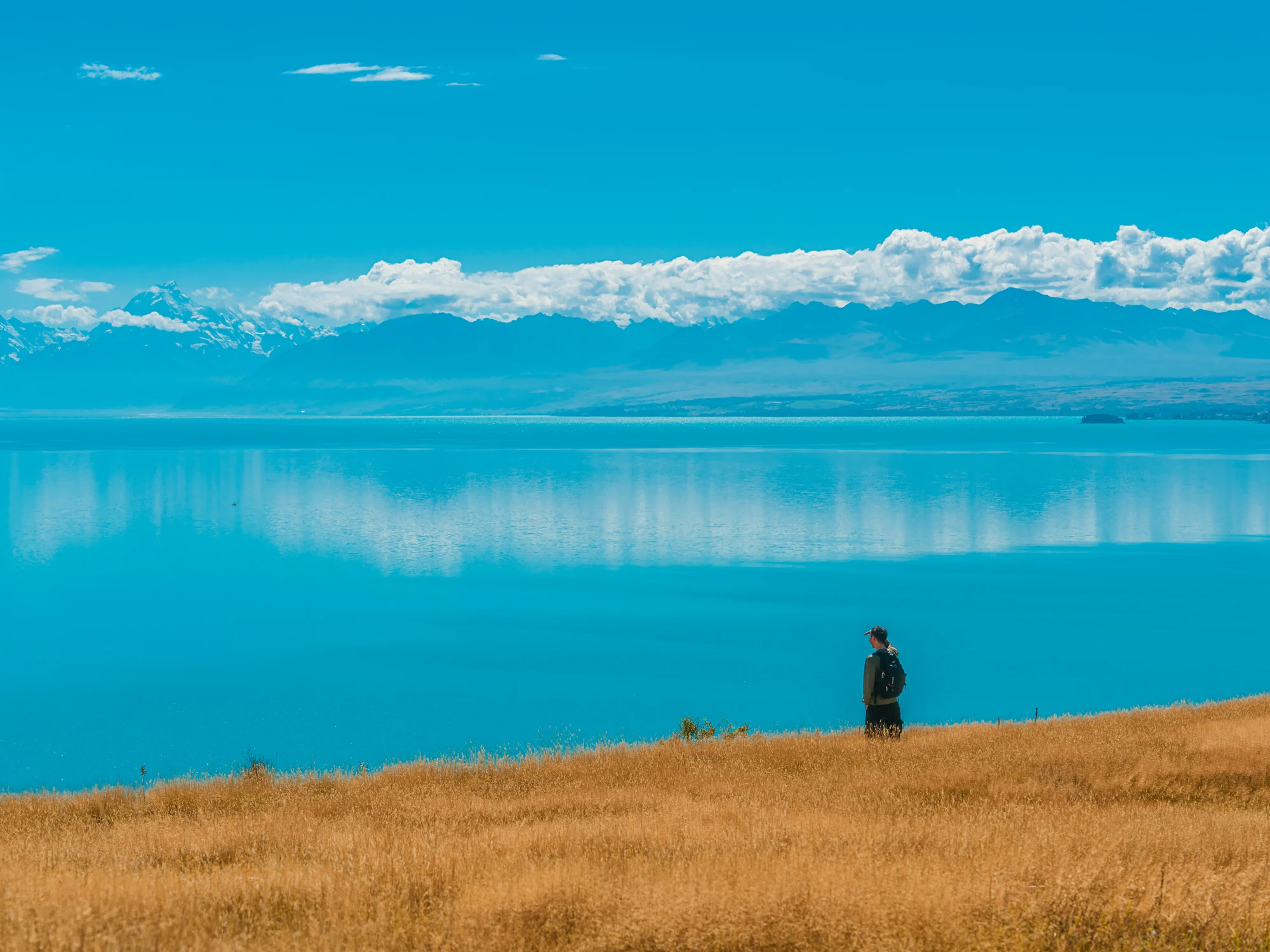 A visitor on the tussock shore of Lake Pukaki