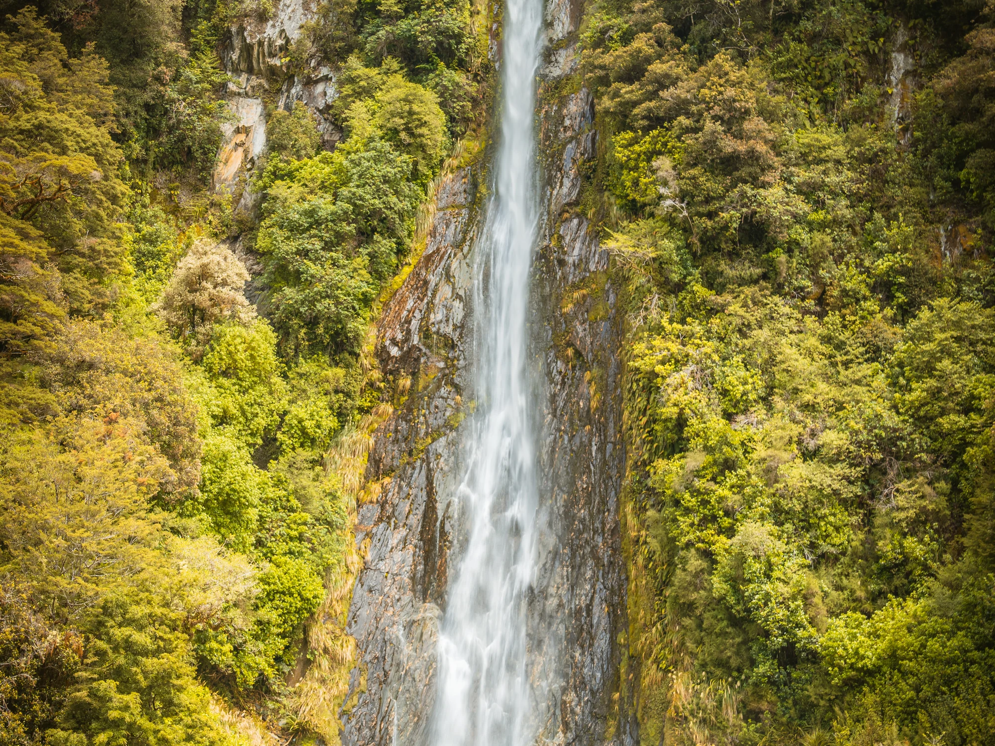 Haast Pass 的 Thunder Creek Falls